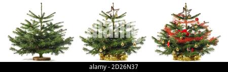 Decorate small Classic Christmas Tree at Christmas Eve - Isolated on white Background Stock Photo