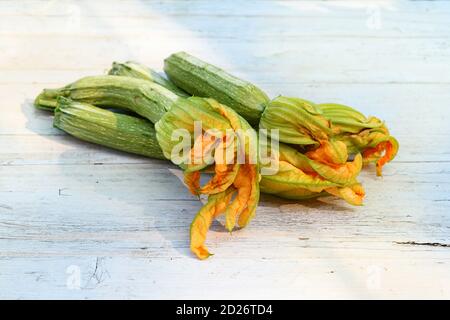 Close up on edible orange zucchini flowers attached to the courgettes or marrows for sale in a table at a farmers market in a low angle view with copy Stock Photo