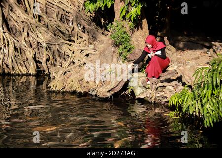 portrait of an asian woman feeding fish in a pond. holiday in koi fish ponds on weekends Stock Photo