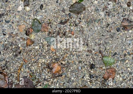 grunge rough stone, pebbles and sand path texture Stock Photo