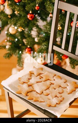 A tray with a set of cooked gingerbread cookies of different shapes on a chair, against the background of a Christmas tree decorated with balls and Stock Photo