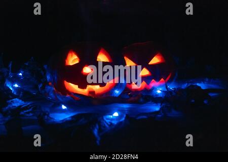 Scary two glowing pumpkins in the dark with a blue backlight close-up. concept of the Halloween background. Stock Photo