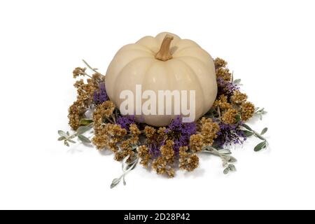 White pumpkin on top of dried flowers and leaves isolated on a white background. Stock Photo
