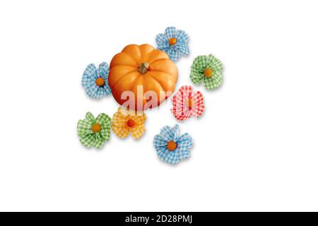 Top view of orange pumpkin surrounded by multi-color fabric flowers on white background. Copy space. Stock Photo