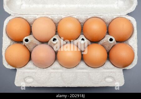 Brown chicken eggs in cardboard packaging close-up, top view Stock Photo