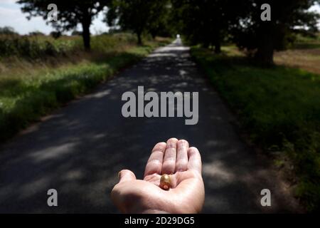 An outstretched hand holding a single acorn on a country lane Stock Photo