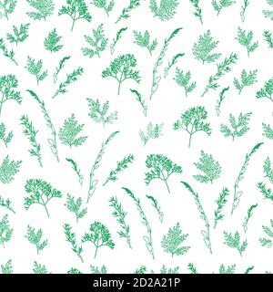Field wild grass leaves and twigs seamless pattern. Stock Vector