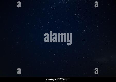 Falling realistic natural snowflakes in focus on a black and blue background Stock Photo