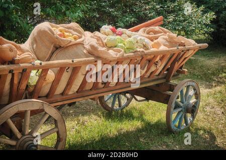Pumpkins, cabbage, onions and other vegetables lie in nature in a wooden cart. Ancient wagon with vegetables and fruits came to the market. Ripe apple Stock Photo