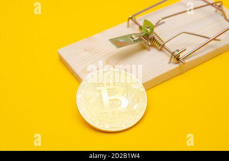 mousetrap with a gold bitcoin on a yellow background. Risks and dangers of investing in bitcoin, concept Stock Photo