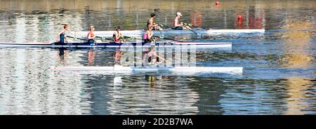 Rowers in Single scull double & coxless quadruple sculls prepare for sculling training session rowing course Royal Albert Dock Newham East London UK Stock Photo