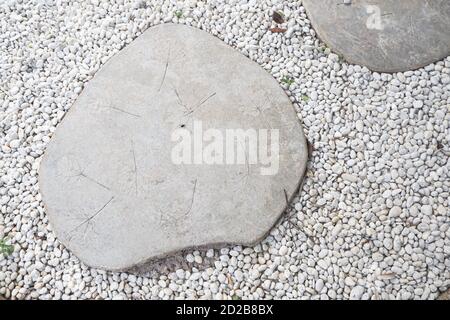 GARDEN STONE PATH. Dry leaf texture on white stone for footpath in rock garden hardscape. Stock Photo