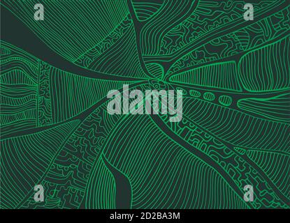 Beautiful abstract green line outline, isolated dark green backg Stock Vector