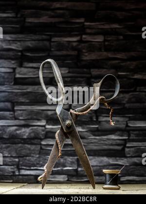 Rusty vintage pair of scissors balanced on timber flooring with black cotton reel thread needle and silver thimble against slate background Stock Photo