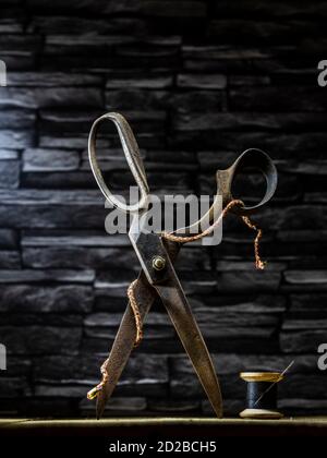 Rusty vintage pair of scissors balanced on timber flooring with black cotton reel thread needle and silver thimble against slate background Stock Photo