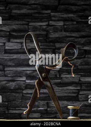 Rusty vintage pair of scissors balanced on timber flooring with black cotton reel thread needle and silver thimble against slate background Stock Photo