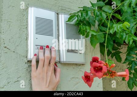 girl's hand is ringing a white intercom on the street on a sunny summer day, pink flowers near the intercom Stock Photo