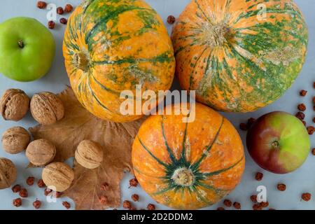 Ripe pumpkins, apples and walnuts on a gray background. Stock Photo