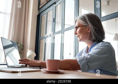 Smiling mature middle aged woman using laptop computer sitting at workplace. Stock Photo