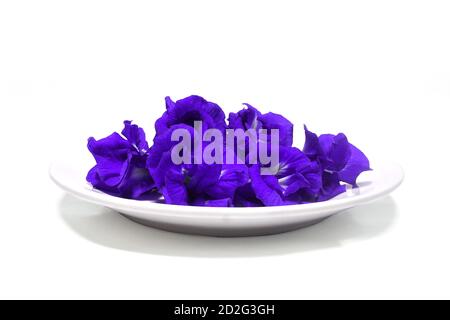 Butterfly pea flowers placed on a white ceramic plate.(with Clipping Path). Stock Photo