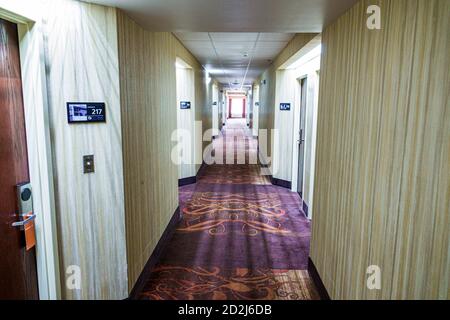 Spring Hill Florida,Hampton Inn by Hilton,hotel hotels lodging inn motel motels,guest rooms,empty hallway hall,visitors travel traveling tour tourist Stock Photo