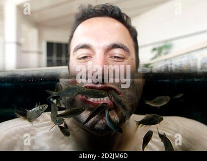 Swarm of fish Garra Rufa in river Stock Photo - Alamy