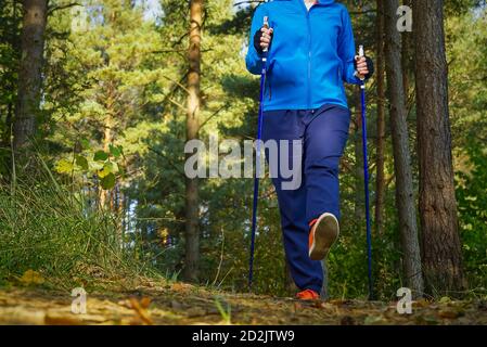 women with sticks in autumn forest making nordic walking. women hiking in autumn park with scandinavian sticks. Stock Photo