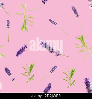 seamless pattern made from lavendel flowers isolated on pink. fresh blossoms. floral pattern. Stock Photo