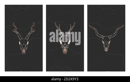 Vector set of three illustrations with gold skulls deer, antelopes and grunge elements on black background. For you design, print, tattoo or magic cra Stock Vector