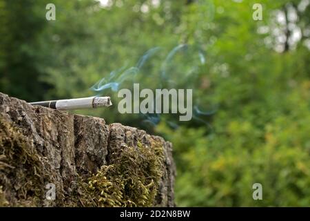 Smoking cigarette with column of ash, lying on mossy stump with gray bark, against green. Concept: Protect the environment from fire and garbage Stock Photo