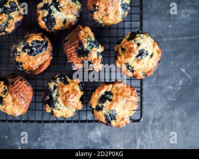 Homemade vegan blueberry muffins on cooling rack. Vegetarian egg-free muffins on dark background. Top view or flat lay. Copy space for text or design. Stock Photo