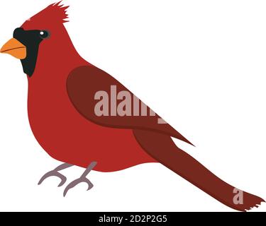 vector illustration of a red cardinal bird. winter, Christmas bird. Stock Vector