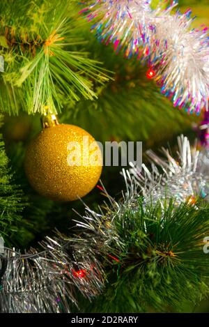 Golden Christmas tree ball on the fir branches Stock Photo