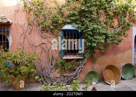 Moroccan Tea Gardens Stock Photo