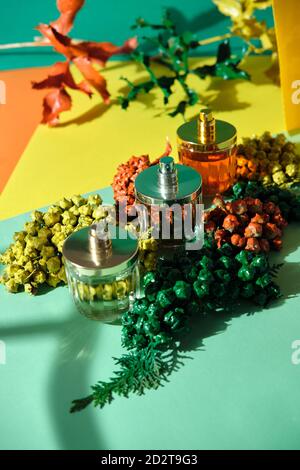 From above of shiny glass bottles of handmade luxury perfume arranged on table with sprigs of thuja Stock Photo