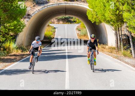 Full length of bicyclists in sportswear and helmets cycling together on asphalt roadway under arched bridge in summer countryside Stock Photo