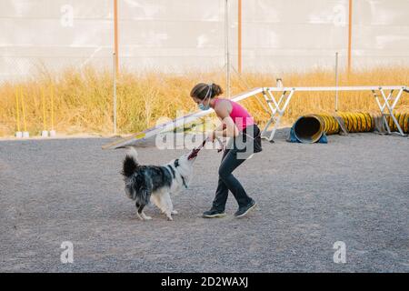 Border Collie dog pulling rope from hand of female instructor during training on playground with agility equipment Stock Photo