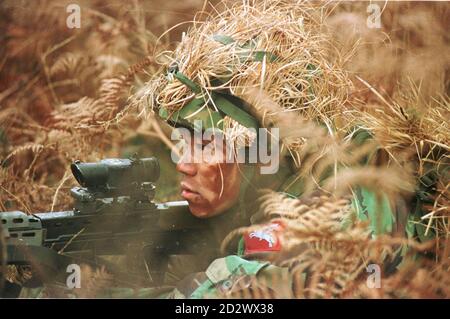 army soldier, army soldiers, troops Stock Photo - Alamy