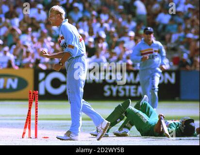 England bowler Peter Martin celebrates the run out of South African captain Hansie Cronje for 24 runs, during the one-day international at Newlands, Cape Town. Stock Photo