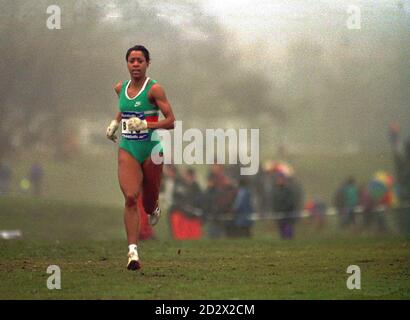 Diane Modahl emerges from the fog and sleet in Mansfield at the English Cross Country Relay Championships today. Stock Photo