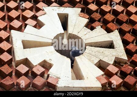 A pigeon sits in a hole in the roof of a building. Wall space for a nest of city birds Stock Photo