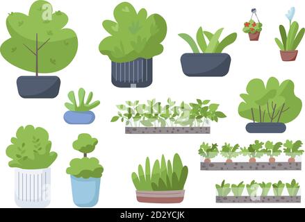 Home and street greenery flat color vector objects set. Houseplants, blooming flowers in pots, vegetables in garden, bushes in flowerbeds 2D isolated Stock Vector