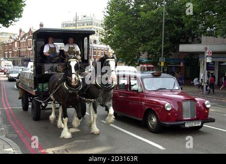 Youngs Brewery horse and cart Wandsworth traditional delivery of beer ...