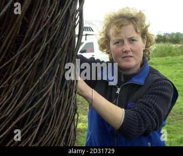 Artist Serena de la Hey with her completed Willow Man close to the M5 Motorway in Somerset . The 40 foot high sculpture, put up as part of the Year of the Artist in the South West, is thought to be the largest example of willow art in Britain. * 8/5/01: The Wicker Man, was destroyed in an arson attack. The work, also known as the Willow man, which stood in a field beside the M5 near Bridgwater, Somerset, was set alight in the early hours. Police have appealed for anyone using the motorway, particularly between junctions 23 and 24, to contact them if they have any information about the attack. Stock Photo