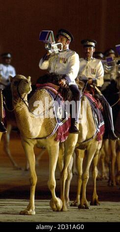 The Duke of York saw a camel-mounted brass band, the only one of its kind in the world, in action during his visit to Oman.  The Duke, wearing Royal Navy uniform, joined the Sultan of Oman for a military tattoo celebrating 30 years of his rule.   * The three-hour extravaganza featured thousands of military personnel including daredevil motorcyclists, parachutists, paragliders and martial arts experts as well as army, navy and air force displays and a cacophony of fireworks.   Stock Photo