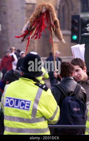 A policeman watches anti-hunt protesters outside the House of Commons, London, with banners and a mock dead fox. All over the country pro-hunt protests were also under way as hundreds joined meets in defiance of the Hunting Bill.    *... Supporters of the controversial sport attended rallies in Suffolk, Wales and Cornwall before setting off on foxhunts. Stock Photo