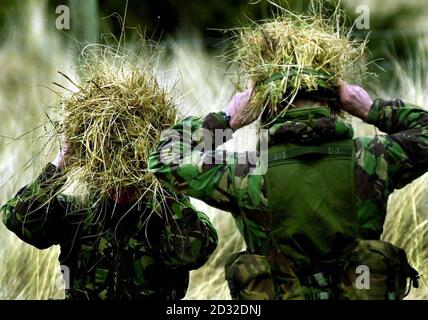 Members of 45 Commando, the Scottish marines unit being sent to Afghanistan, during their final live training with the new SA80 A2 rifle at the Barry Buddon live firing range near Dundee. Stock Photo