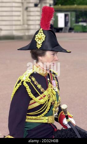 The Princess Royal leaves Buckingham Palace on horseback following the Gold State coach, which carried the Queen to St Paul's Cathedral for her Golden Jubilee thanksgiving service. Stock Photo