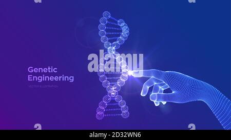 Hand touching DNA sequence molecules structure mesh. Wireframe DNA code editable template. Genetic engineering. Medical research. Science and Stock Vector