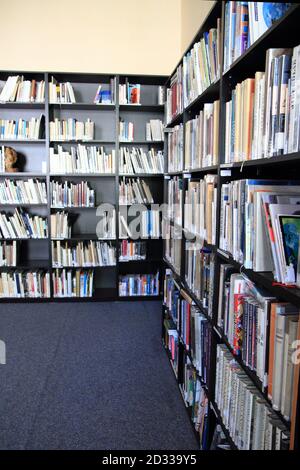 small library with a lot of books as nice background Stock Photo
